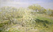 Αναπαραγωγή Spring – Fruit Trees in Bloom (1873), Claude Monet