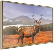 Αφίσα - Majestic Deer - 60x40 - Χρυσό - Χωρίς πασπαρτού