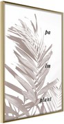 Αφίσα - Beige Palm - 40x60 - Χρυσό - Χωρίς πασπαρτού