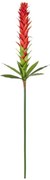 Τεχνητό Λουλούδι Ginger Bud 21393 124cm Red-Green GloboStar Πολυαιθυλένιο