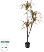 20372 GloboStar®  Artificial Garden DRAGON BLOOD TREE 20372 - Τεχνητό Διακοσμητικό Φυτό Δράκαινα Υ180cm
