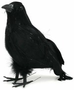 Αποκριάτικη Διακόσμηση Μαύρο Πουλί