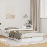 vidaXL Κρεβάτι δαπέδου Λευκό 100 x 200 cm Μασίφ ξύλο πεύκου