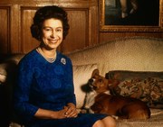 Φωτογραφία Queen Elizabeth II with Corgi, Bettmann
