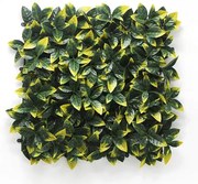 ΠΑΝΕΛ ΦΥΛΛΩΣΙΑΣ BERLIN 50 Χ 50 A017 PHOTINIA NewPlan