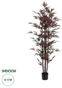 GloboStar® Artificial Garden BLOODLEAF BAMBOO 20039 Τεχνητό Διακοσμητικό Φυτό Αιματόφυλλο Μπαμπού Υ170cm