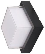 W 5224