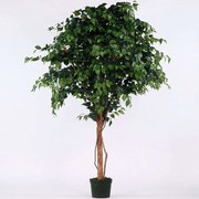 Τεχνητό Δέντρο Φίκος 5140-6 160x230cm Green Supergreens Polyethylene