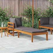 vidaXL Ξαπλώστρα με 1 Μπράτσο από Ξύλο Ακακίας & Σκούρα Γκρι Μαξιλάρια