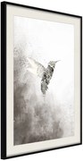 Αφίσα - Hummingbird in Shades of Grey - 40x60 - Μαύρο - Με πασπαρτού