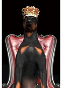 ΕΙΚΟΝΑ ΣΚΥΛΟΣ ΣΕ ΣΤΕΦΑΝΙ 80Χ120 DIOMMI DOGINCROWN80