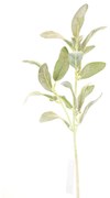 Supergreens Τεχνητό Κλωνάρι Πράσινο 78 εκ