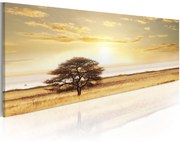 Πίνακας - Lonely tree on savannah 120x40