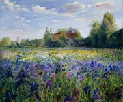 Αναπαραγωγή Evening at the Iris Field, Timothy Easton