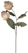 Λουλούδι Τριπλό Καφέ 97εκ. Zen Collection 25.13.51636