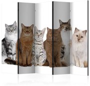 Διαχωριστικό με 5 τμήματα - Sweet Cats II [Room Dividers] 225x172