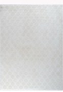 Χαλί Sign 37404-060 Light-Grey Merinos 67X150cm