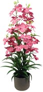 Supergreens Τεχνητό Φυτό Ορχιδέα \&quot;Oncidium Orchid\&quot; Ροζ 86 εκ.