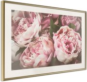 Αφίσα - Pastel Peonies - 60x40 - Χρυσό - Με πασπαρτού