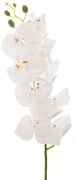 Κλαδί Ορχιδέα Λευκή 95εκ. iliadis 90019