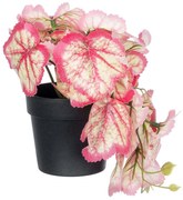Τεχνητό Φυτό Σε Κασπώ Begonia 20948 Φ23x16cm Pink-White GloboStar Πολυαιθυλένιο,Ύφασμα