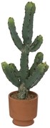 Τεχνητό Φυτό Σε Γλάστρα (Φ19x49) A-S Cactus 189102