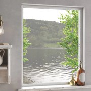 vidaXL Σήτα Εντόμων για Παράθυρα Λευκή 100 x 120 εκ.
