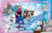 Φωτοταπετσαρία Frozen Disney 6