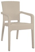 Καρέκλα Κήπου ArteLibre Μπεζ Rattan 58x55x87cm