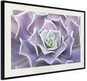 Αφίσα - Like a Flower - 60x40 - Μαύρο - Με πασπαρτού