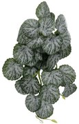 Τεχνητό Κρεμαστό Φυτό Begonia 20611 30x15x45cm Green-White GloboStar Ύφασμα