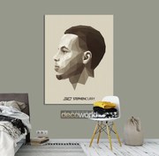 Πίνακας σε καμβά NBA S.Curry KNV977 30cm x 40cm