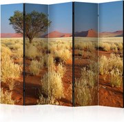 Διαχωριστικό με 5 τμήματα - Desert landscape, Namibia II [Room Dividers]