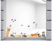 Αυτοκόλλητα βινυλίου για τζάμι Γάτες M Cats 64001 Ango Dalber-64001-Πολύχρωμο 64001