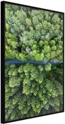 Αφίσα - Forest from a Bird's Eye View - 40x60 - Μαύρο - Χωρίς πασπαρτού