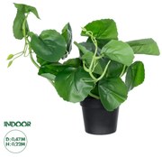 GloboStar® Artificial Garden BELL PLANT 20957 Διακοσμητικό Φυτό Σεφλέρα Φ47 x Υ22cm