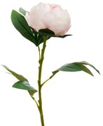 Κλαδί Παιώνια Ροζ 66εκ. iliadis 89811