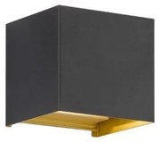 Απλίκα Φωτιστικό Τοίχου LED Μαύρο-Χρυσό Thore 30339 Fischer Honsel-30339-Μαύρο-Χρυσό 30339