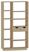 Βιβλιοθήκη με συρτάρια Dakin pakoworld σε oak απόχρωση 80x25x190εκ