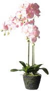 Supergreens Τεχνητό Φυτό Ορχιδέα Phalaenopsis Real Touch Ροζ με Βάση Moss 85 εκ. - 4170-6 - 4170-6