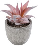 Τεχνητό Φυτό Σε Κασπώ Aloe 21032 Φ6,5x11cm Multi GloboStar Τσιμέντο,Πολυαιθυλέν