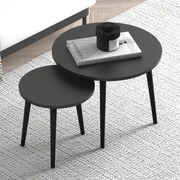 Ζιγκόν Roma (Σετ 2Τμχ) 0248439 Φ60x46/40x43cm Black