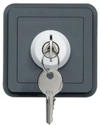 Διακόπτης 2 Θέσεων με Κλειδί Γκρι ΙΡ55 Cubyko WNA035 Hager-WNA035-Ανθρακί WNA035