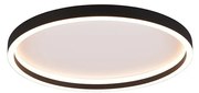 Φωτιστικό Οροφής RL Lighting Rotonda R64502132 Μαύρο Ματ