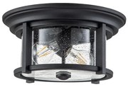 Πλαφονιέρα Φωτιστικό Οροφής 2xE27 IP44 Merrill Elstead Lighting-FE-MERRILL-F-BLK-Μαύρο FE-MERRILL-F-BLK