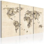 Πίνακας - Atlas of butterflies - triptych - 120x80