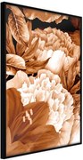 Αφίσα - Peonies in Sepia - 30x45 - Μαύρο - Χωρίς πασπαρτού