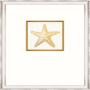 Κάδρο Starfish Fa13367 35X45Cm White-Gold Mindthegap Κάθετοι Wood