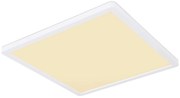 Φωτιστικό Οροφής Globo Lighting SAPANA 41563-24W 3000K