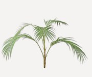 Foliage - Branch SILK-KA φοίνικας 144744-GR